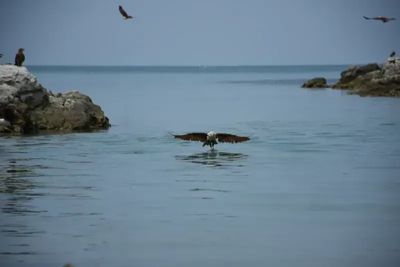 Take Off